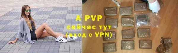 прущие грибы Вязники