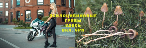 а пвп мука Володарск