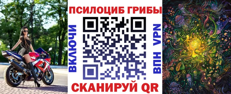 Псилоцибиновые грибы GOLDEN TEACHER  Купить  Талдом 